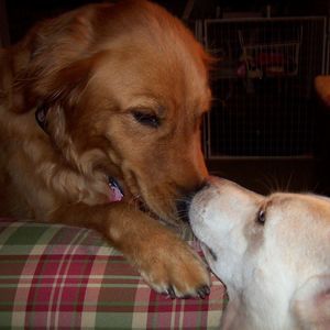 Meet your Posher, Mary anne